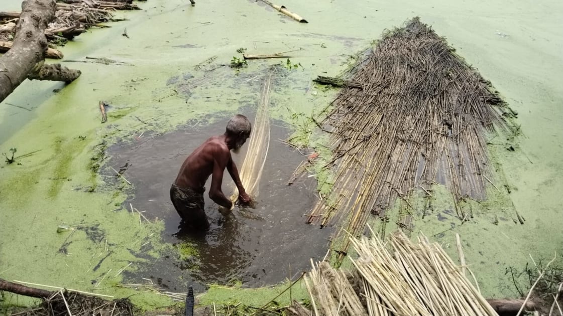 পাটের আঁশ ছাড়াতে ব্যস্ত চাষিরা, লক্ষ্যমাত্রার চেয়ে বেশি আবাদ