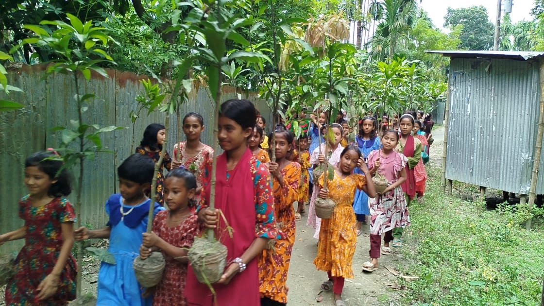 সবুজায়নের লক্ষ্যে ফুলবাড়ীতে ২,৮১৫টি আমের চারা বিতরণ কর্মসূচির উদ্বোধন