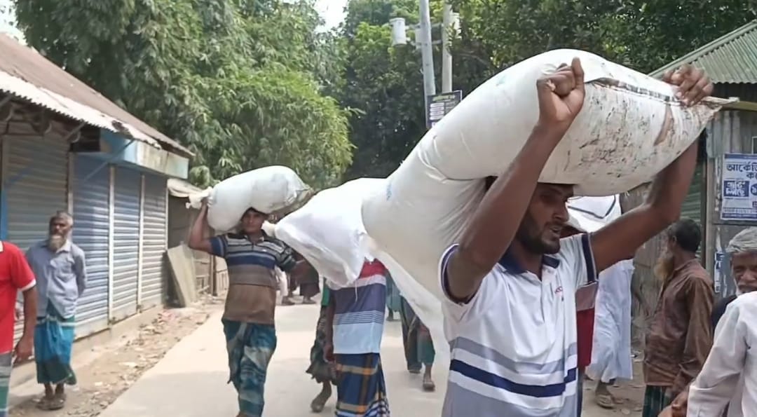 সার নিতে দীর্ঘ অপেক্ষা, গোডাউনের বেড়া ভেঙে শতাধিক বস্তা নিয়ে গেলেন কৃষকেরা