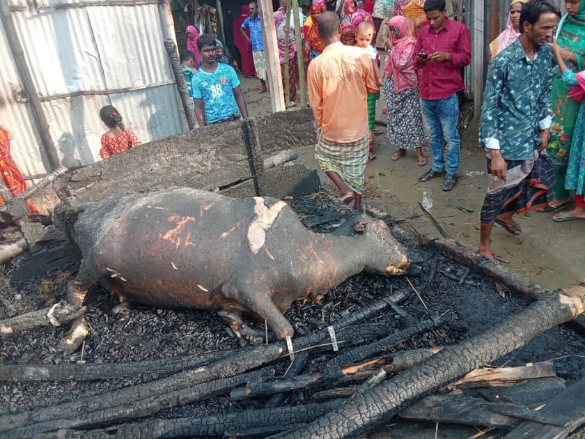 হরিপুরে অগ্নিকান্ডে ব্যাপক ক্ষয়ক্ষতি