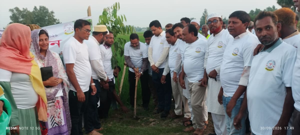 দুপচাঁচিয়ায় পৌরসভার উদ্যোগে সড়কের দুই পাশে বৃক্ষরোপণ